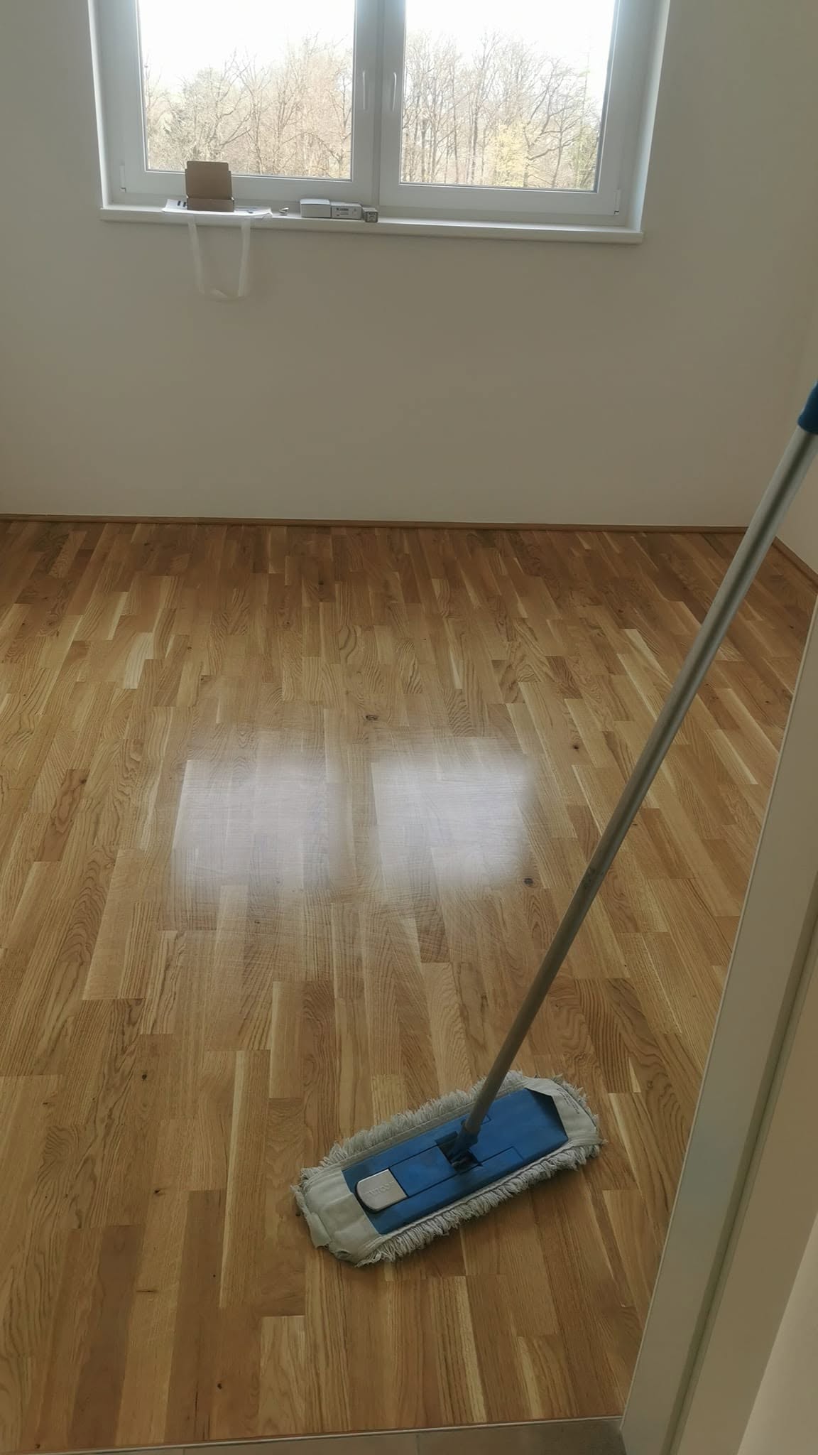 Bodenreinigung im Büro